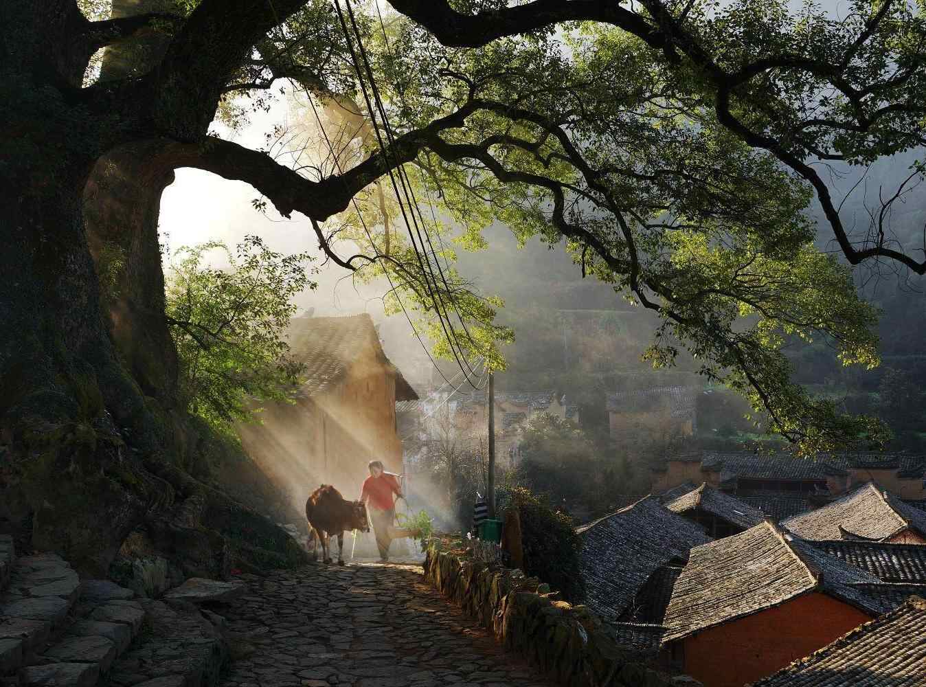  解讀松陽：古村古韻，藏在傳統(tǒng)村落里的流量密碼